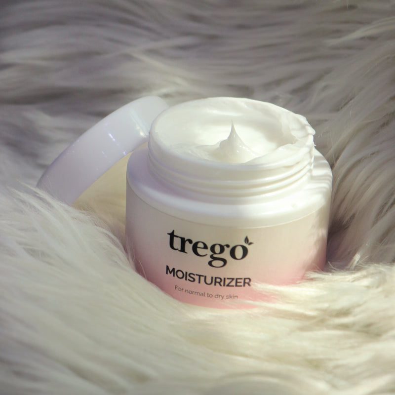 Moisturizing Cream Normal to Dry Skin Moisturizer - 24 hours Hydration ...